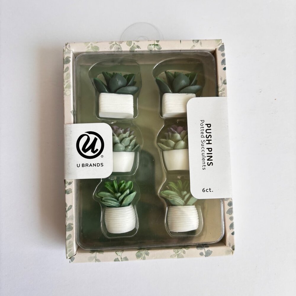 Bulletin Board Push Pins Potted Succulents Home Office Decor Gift New‎